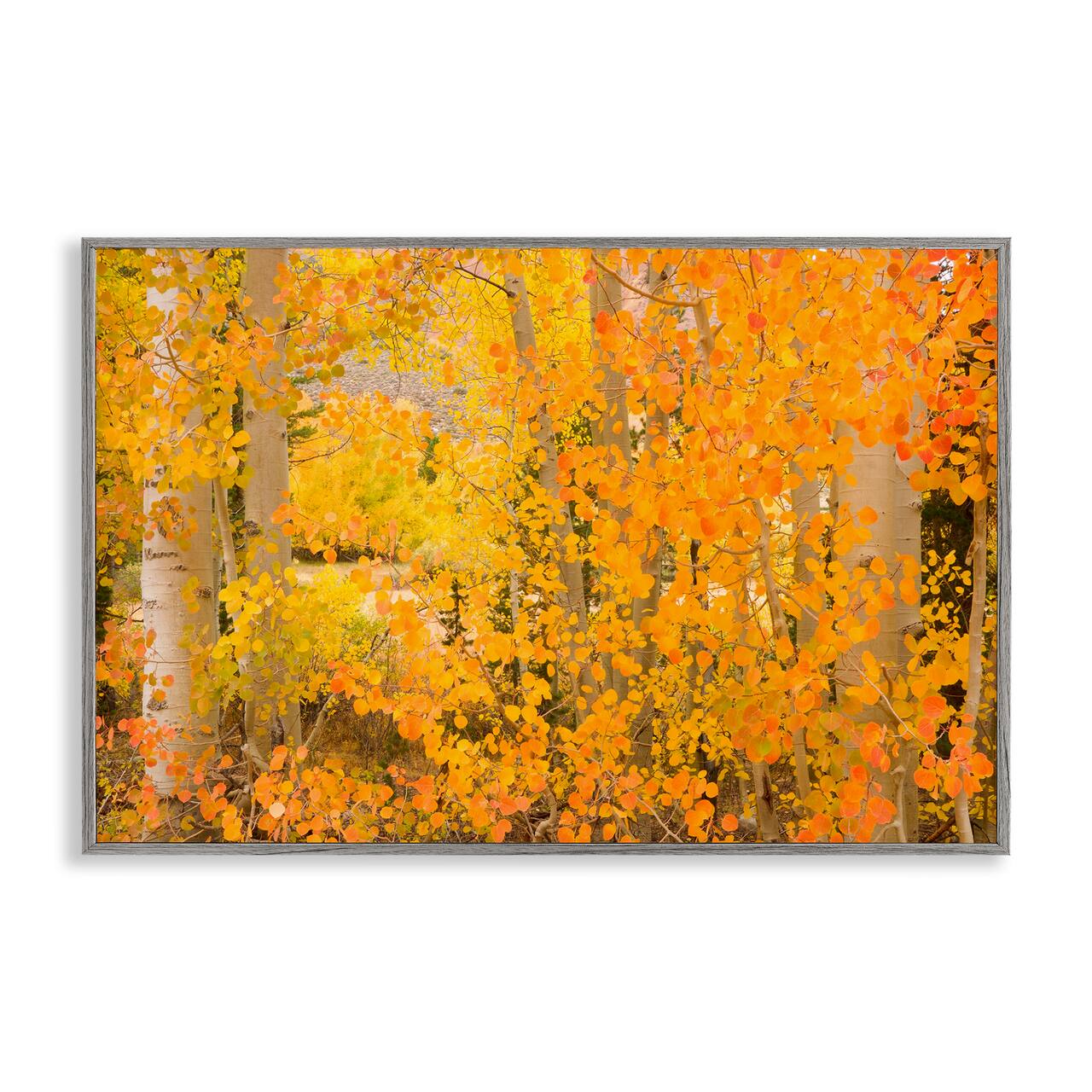 Stupell Industries Dense Birch Foliage Framed Giclee Art